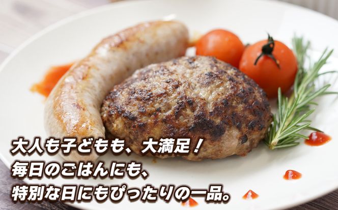 生ポークソーセージ　100g×15本入り　[冷凍食品 豚肉 特大]