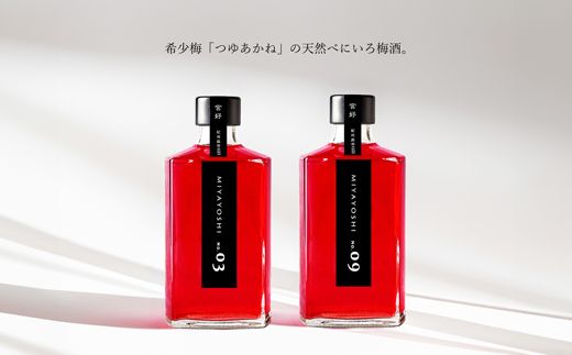 MIYAYOSHI BLACK LABEL No.03 No.09 large bottle 2P SET（A970-3）
