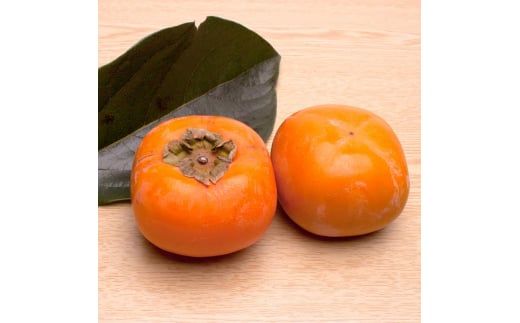 ＜10月より発送＞厳選たねなし柿7.5kg【刀根早生・平核無柿（ひらたねなしかき）】｜カキ・種無柿・種無し柿・種なし柿・無核柿