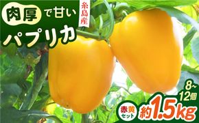 【先行受付】糸島産 肉厚 パプリカ　約1.5kg(8-12個) 【2026年11月以降順次発送】福岡県 糸島市 / シーブ [AHC031] 野菜 やさい パプリカ ピーマン 肉厚 生 ピクルス マリネ 肉詰め