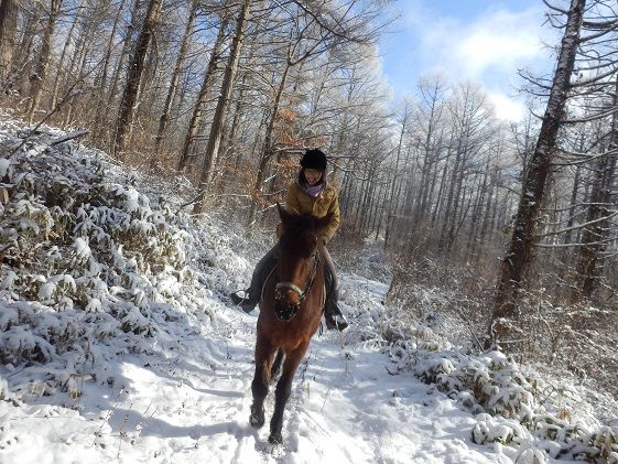 乗馬 体験 まきば軽井沢 どーんと150分 乗馬体験 1名様 長野 信州 小諸 大自然 体験チケット 