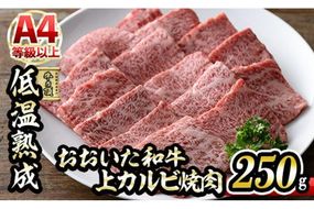 おおいた和牛 上カルビ 焼肉 (250g) 国産 牛肉 肉 霜降り 低温熟成 A4 和牛 ブランド牛 カルビ BBQ 冷凍 大分県 佐伯市【DH219】【(株)ネクサ】