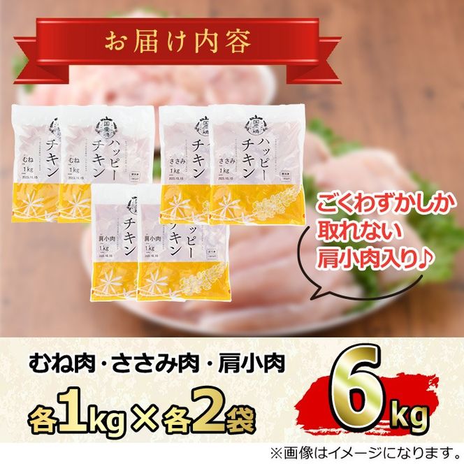 【0124806a-2604】＜2026年4月発送予定＞国産若鶏肉ヘルシーセット(合計6kg・ムネ、ささみ、肩小肉) 鶏肉 鳥肉 とり肉 むね肉 おかず 小分け 国産 【エビス】