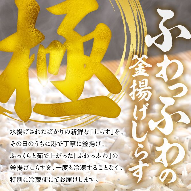 【とれたて直送】極しらす干し 500g N065-YA0509