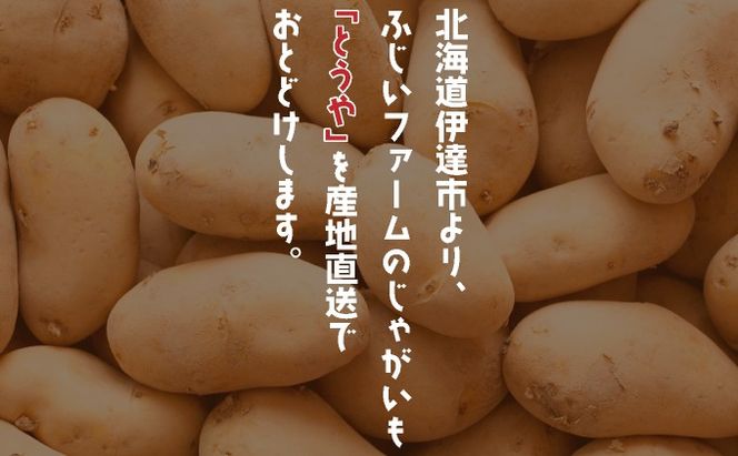 ＜先行予約＞北海道産 じゃがいも(とうや) 約10kg | ジャガイモ 馬鈴薯 ポテト 芋 イモ 国産 野菜 人気 ふじいファーム