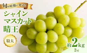 【2026年先行受付】 シャインマスカット 晴王 秀品 特大 約2kg 2房 岡山県産 ぶどう 葡萄 ブドウ ギフト 御礼 プレゼント 御礼 御祝 御供 果物 くだもの フルーツ