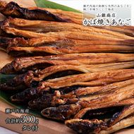 あなご 先行予約 山銀商店 かば焼き あなご (合計約300g)  産地直送 穴子 魚介類