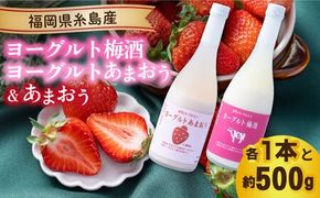 【冬】ヨーグルトあまおう＆ヨーグルト梅酒 各720ml×あまおう 約250g×2パック 糸島市 / 南国フルーツ株式会社 [AIK018]