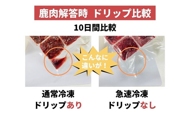 鹿肉ドッグフード　鹿肉冷凍ミンチ（犬用）　1kg（250g×4トレー） 加工食品 お肉 家族 健康 食事 大切 ペット 自然 新鮮 動物 高品質 安心 安全 国産 子犬 老犬 こだわり 小分け 