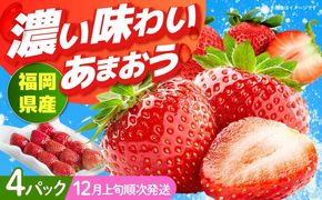 【2025年12月上旬より順次発送】 福岡産【冬】 あまおう 4パック 《築上町》【南国フルーツ株式会社】果物 苺 いちご[ABET013]