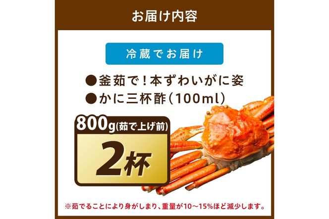 【大好評！カニ酢付き】訳あり！釜茹で！特大本ずわいがに姿 800g×2杯 魚介 海鮮 海の幸 釜茹で ボイル ふるさと納税 カニ 訳あり ふるさと納税 ズワイガニ　YK00488