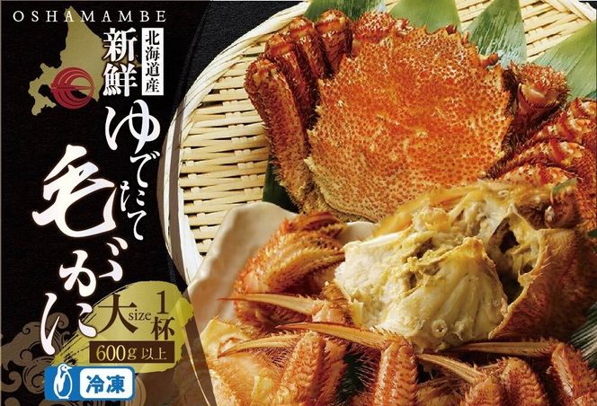 北海道産 毛がに600g以上１ハイ（冷凍）【010015】