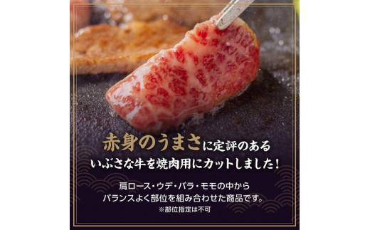 【6ヶ月定期便】いぶさな牛のスペシャル焼肉セット650g 【 宮崎県産 牛 焼肉 黒毛和牛 定期便 】[D05307t6]