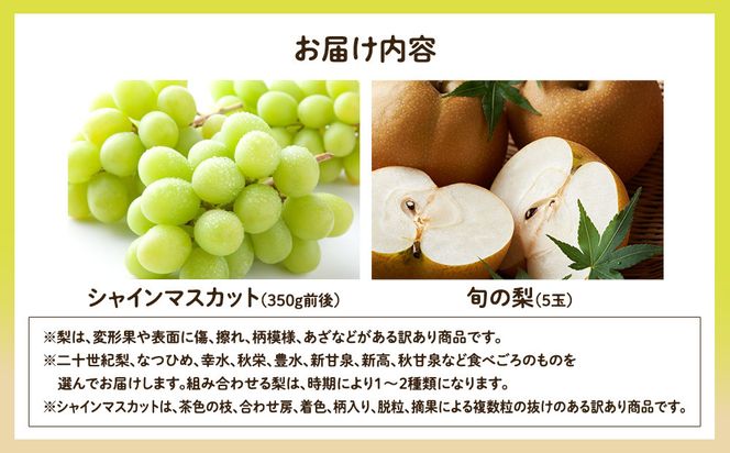 955.【先行予約】【訳あり】シャインマスカット（350ｇ前後）と旬の梨（5玉）セット≪ぶどう、マスカット、ブドウ、葡萄、なし 果物 フルーツ くだもの 鳥取県北栄町≫※8月下旬頃～9月中旬頃に順次発送 313726_AN001