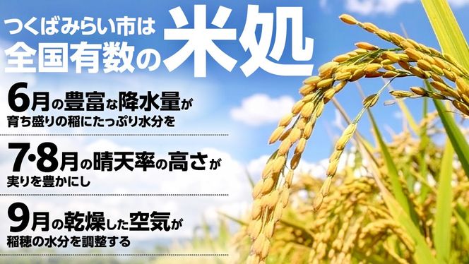 ★新米 先行予約★ 令和8年産 コシヒカリ 玄米 30kg  茨城県つくばみらい市産 ｜ 米 コメ 単一米 コスパ 茨城県産 国産 単一原料米 こしひかり お米