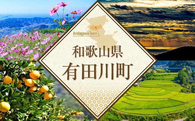 とろり飲むレモンゼリー 270g × 8個入り FJ02