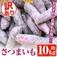訳あり！さつまいも (約10kg) 鹿児島県 阿久根市 さつま芋 サツマイモ 紅はるか 紅さつま シルクスイート 訳アリ 野菜 芋 イモ【松永青果】akn053-20