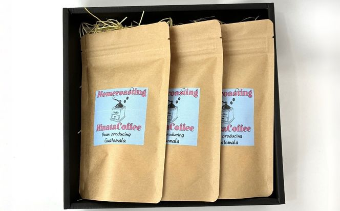 【12カ月定期便】コーヒー 豆 粉（グアテマラ 中煎り 中細挽き）100g × 3個セット | ミディアムロースト ギフトBOX付き コーヒー 珈琲 自家焙煎 ひなた珈琲 幸田町 送料無料