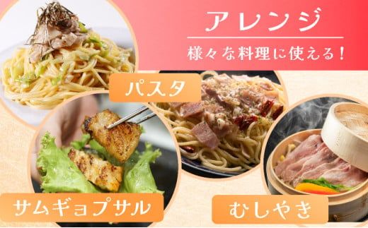 塩ダレ スタミナ 豚肉セット 1200g 国産 豚肉 焼肉 味付 味付豚 簡単調理 焼くだけ BBQ 野菜炒め パスタ 塩やきそば 蒸し焼き サムギョプサル