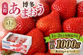 【先行予約】【アフター保証】大粒セレクト！大人気のあまおう 250g×4パック【1月～2月上旬発送】【JAほたるの里】 _HA0274