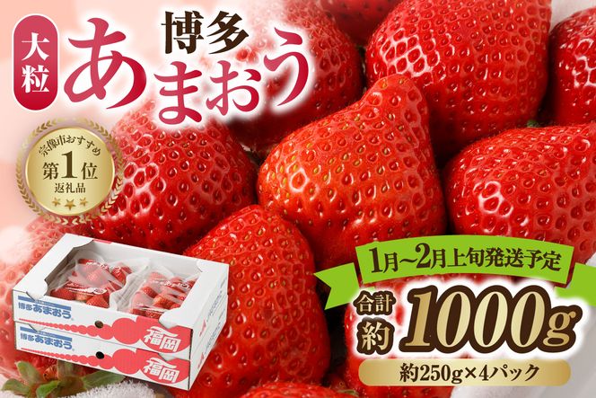 【先行予約】【アフター保証】大粒セレクト！大人気のあまおう 250g×4パック【1月～2月上旬発送】【JAほたるの里】 _HA0274
