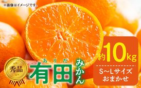 【2027年1月発送】秀品 有田みかん 和歌山県産 S～Lサイズ 大きさお任せ  約10kg_DZ6200_01