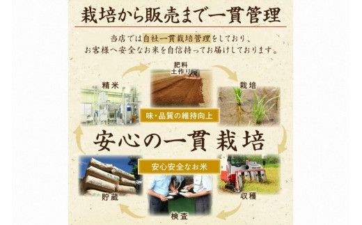 2025年産 京都・丹後コシヒカリ 無洗米 3kg　HM00008