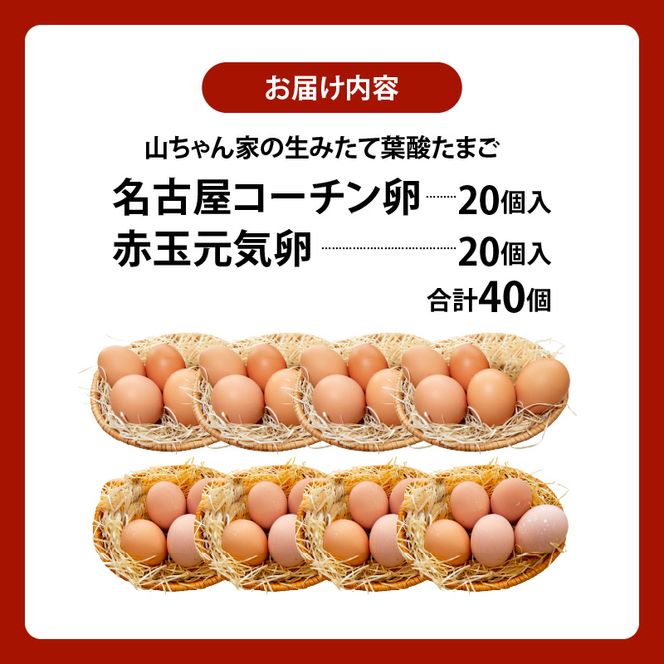 【山ちゃん家の生みたて葉酸たまご】名古屋コーチン卵・赤玉元気卵 食べ比べセット（各20個 合計40個入り）［132Y10］山ちゃん家 生みたて 葉酸たまご 名古屋コーチン卵 赤玉元気卵 食べ比べ セット 各 20個 合計 40個 入り 地鶏 卵 朝食 卵焼き 目玉焼き オムライス ゆでたまご 山田養鶏 お取り寄せ 愛知県 小牧市 送料無料