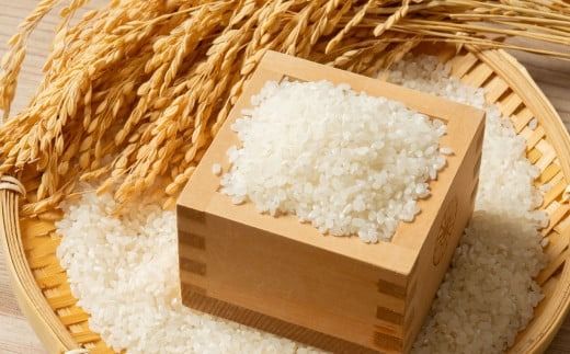 【令和7年産米】牛とつくったお米 新潟県 岩船産 新之助 精米 5kg 1041002