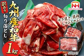 牛肉 訳あり 日本ハム 九州産 和牛 切り落とし 500g 2p 計 1kg [日本ハムマーケティング 宮崎県 日向市 452061137] 冷凍 小分け 個包装 牛 すき焼き もも肉 モモ肉 牛バラ 牛肩