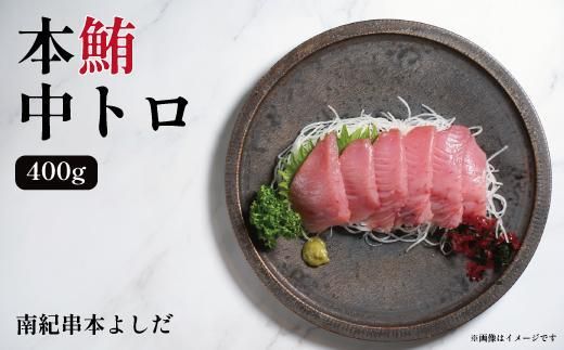 南紀串本よしだ 本鮪 中トロ サク400g 303446_DR002