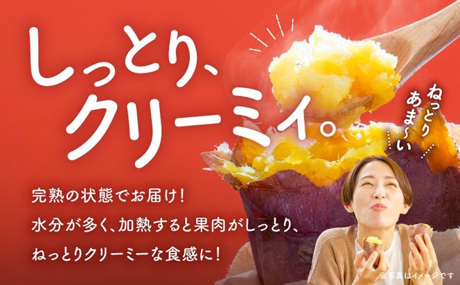 ＜訳あり＞さつま芋（紅はるか）5kg　K396-001