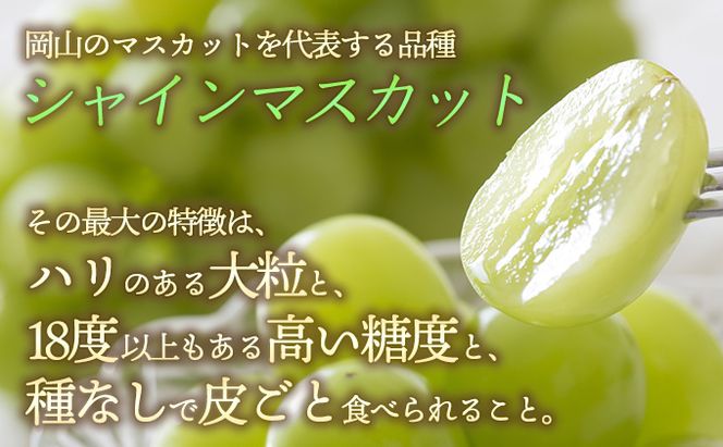 ぶどう 2026年 先行予約 シャイン マスカット 3～4房 約2.0～2.5kg 秀品 ブドウ 葡萄 岡山 赤磐市産 国産 フルーツ 果物 ギフト 果物類 デザート 食後 産地直送 大房 甘い 種なし 皮ごと 大粒 