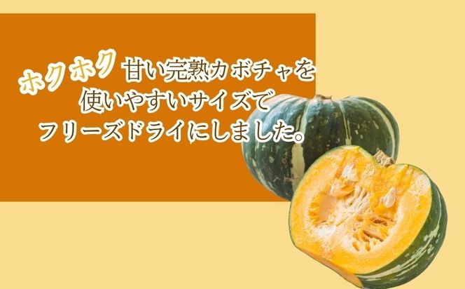 かぼちゃの“まんま”　FB050