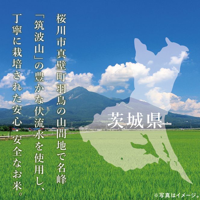 筑波山麓・羽鳥の沢水米 コシヒカリ 精米 10kg【茨城県共通返礼品：桜川市】|お米 米 こしひかり 茨城県 取手市（CA002）