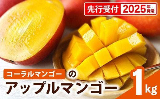 【先行受付】【2025年発送】コーラルマンゴーのアップルマンゴー [優品] 約1kg