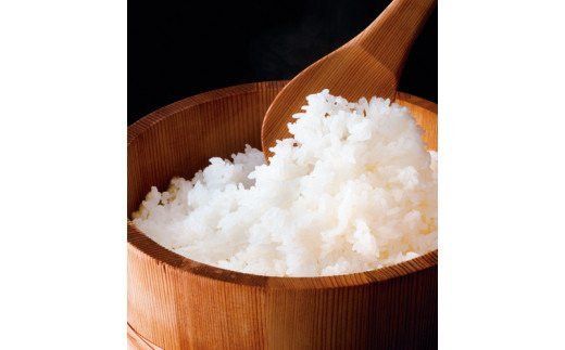 FYN6-275 令和7年度 山形県 西川町産 無洗米 つや姫 10㎏(5kg×2) 精米 白米 米 こめ ライス ごはん ご飯 ブランド米 銘柄米 家庭用 自宅用 贈答用 お取り寄せ 食品 時短 節水 2025年 西川町 月山