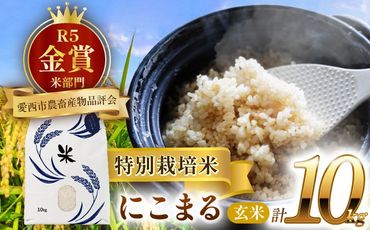 令和6年産 愛知県産にこまる 玄米10kg 特別栽培米 ご飯 玄米／戸典オペレーター[AECT019]