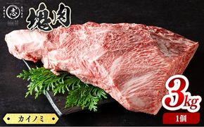 塊肉シリーズ カイノミ 計3kg(3kg×1個) wa67-001