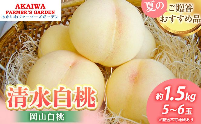 桃 2026年 先行予約 清水 白桃 約1.5kg 5～6玉 もも 岡山県 赤磐市産 フルーツ 果物 あかいわファーマーズガーデン