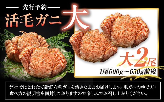【先行予約/2026年4月発送開始】活毛ガニ　大２尾（600g～650g前後） 016942_AH267