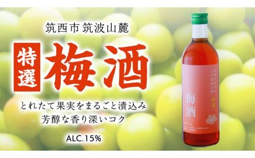 【 特選 】 梅酒 アルコール 15％（ 500ml × 1本 ） 果実酒 お酒 酒 梅 うめ ウメ [DP002ci]