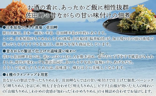 【ご飯のお供に最適】ちりめん佃煮4点セット IKTB015 