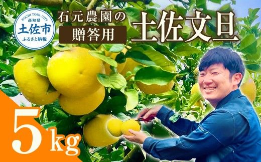 [先行予約]石元農園の土佐文旦 贈答用約5キロ(7〜12玉)[2027年2月〜発送]期間限定 文旦 5kg ぶんたん 果物 柑橘 フルーツ 高知県産 お取り寄せグルメ ギフト 贈答 贈り物[石元農園] [BQBH003]