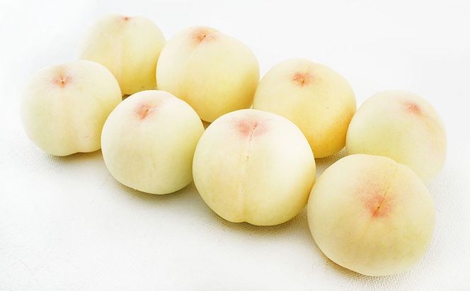 桃 2026年 先行予約 白桃 8玉 （1玉200g以上） 等級：ロイヤル 化粧箱入り もも モモ 岡山県産 国産 フルーツ 果物 ギフト 贈答品 糖度12.0度以上 