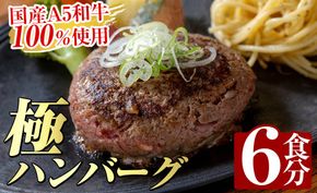 a940 生食感ハンバーグ！やまさきの焼肉A5ランク極ハンバーグ150g×6袋(合計900g)【やまさき】
