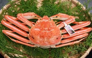 【ふるさと納税】松葉ガニの本場より プロ茹で松葉ガニ（冷凍） 1枚 1kg 原体 かに カニ 蟹 ズワイガニ 松葉ガニ 釜茹で 魚介 新鮮 海産物 急速冷凍 お取り寄せ 兵庫県 新温泉町 送料無料
