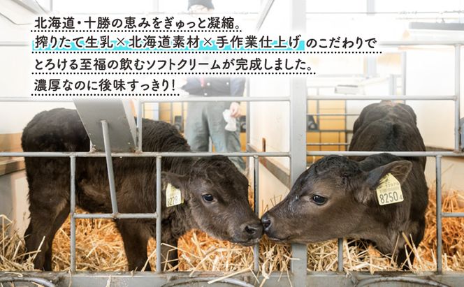 【十勝産生乳100％】 飲むソフトクリーム 100ml×6個 ちゅ～ちゅ～ソフト（プレミアムミルク）【 バター 仕込み ジェラート アイス ミルク アイスクリーム ソフトクリーム デザート スイーツ おやつ ミルク 詰め合わせ 北海道 十勝 幕別 】