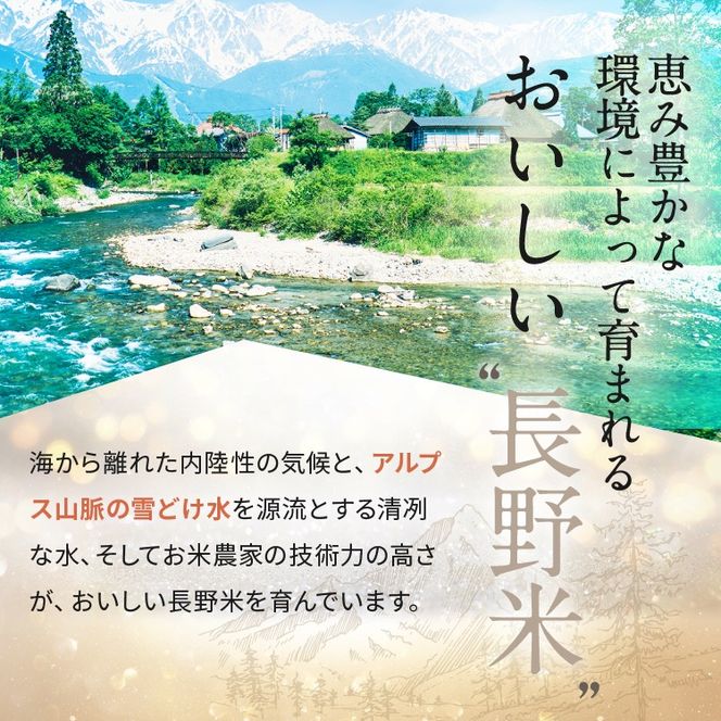 令和8年産 伊那市産 こしひかり 10kg(5kg×2袋）｜ 米 コシヒカリ こしひかり 白米 ご飯 お米 伊那 伊那産 長野県 ふるさと納税【021-58】