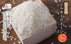AO-13c 【6か月定期便】岐阜県産ミルキークイーン5kg